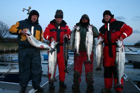 lachs_2008_04_06_043_g.jpg