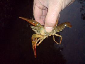 DSC00260.JPG